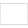 Dog Kennel Black 861.1 ft? Steel - Black